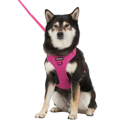 Voyager Dog Harness Dual Leash Attachment No-Pull Control Adjustable Soft but Strong Pet Harness for Medium and Large Dogs with 3M Reflective Technology, Fuchsia Nylon, L (Chest: 25-30") - color: Fuchsia Nylon, size: L (Chest: 25 - 30")