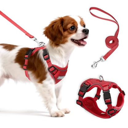 Small Dog Harness and Leash Set, Reflective Soft Breathable Mesh Vest, 3 Buckles, Adjustable Neck and Chest,Step in Dog Harness for Walking, Running, Training, Red, M - color: Red, size: Medium