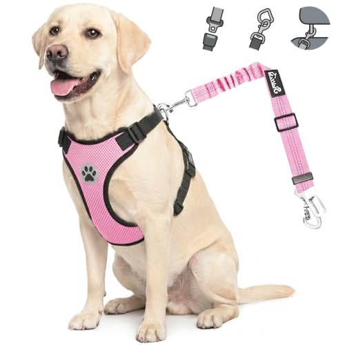 Lukovee Dog Car Harness Seat Belt, Adjustable Mesh Breathable Vest with Elastic Bungee Tether, Soft Padded 2-in-1 Safety Car Harness Seatbelt for Small Medium Large Dogs (A-Pink,XXS) - color: A-Pink, size: XX-Small
