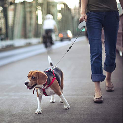 Idepet Heavy Duty Retractable Dog Leash for Small and Medium Dogs, Anti-Chewing Steel Chain Design,360 DegreeTangle-Free,Break and Lock System,16ft Leash Dog Walking (Round Rope) - color: Grey
