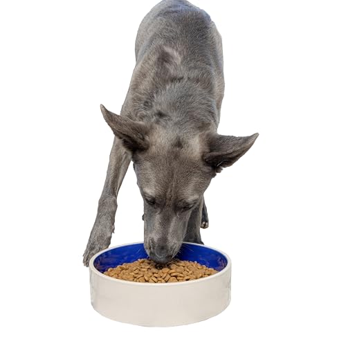 SPOT Standard Crock Dish - Heavy Duty, Non-Slip, Round Ceramic Food/Water Bowl for Pets, Ideal for Medium to Large Dogs or Multiple Animals, Dishwasher Safe - 9.5 in, 8 Cups, (64 Oz)(Pack of 6) - size: 9.5" (Pack of 6)