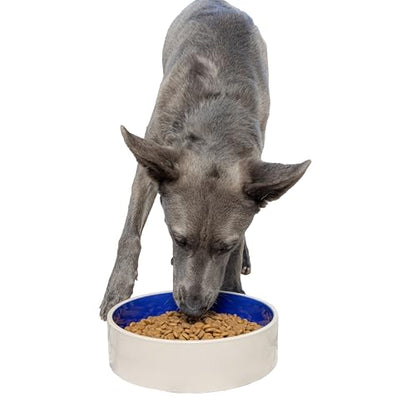 SPOT Standard Crock Dish - Heavy Duty, Non-Slip, Round Ceramic Food/Water Bowl for Pets, Ideal for Medium to Large Dogs or Multiple Animals, Dishwasher Safe - 9.5 in, 8 Cups, (64 Oz)(Pack of 6) - size: 9.5" (Pack of 6)