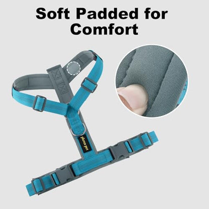 Plutus Pet No Pull Dog Harness, Adjustable Nylon Harness with Soft Padding, Reflective and Heavy Duty Dog Harness for Small, Medium, Large Dogs(Cyan, S) - color: Cyan, size: S