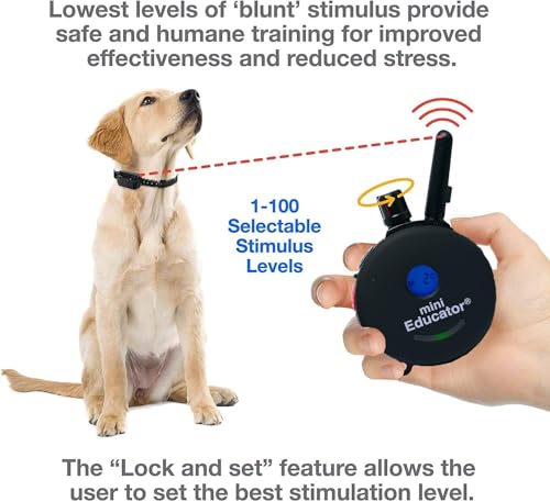 E-Collar ET-300 / ET-302 Dog Training Collar System with Remote - 1/2 Mile Range - Waterproof, Vibration, Sensation - Includes eOutletDeals Pet Towel (1 Dog System - ET-300 Black) - size: 1 Dog System - ET-300 BLACK