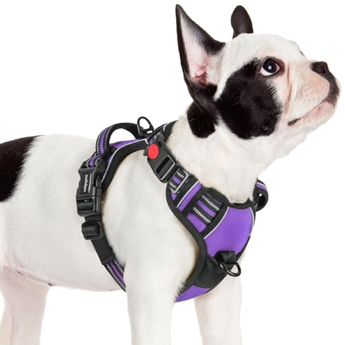 rabbitgoo Dog Harness Small Sized, No Pull Pet Harness with 3 Buckles, Adjustable Soft Padded Vest with Control Handle, Walking Reflective Pet Vest for Small Dogs, Purple, S - color: Purple, size: Small