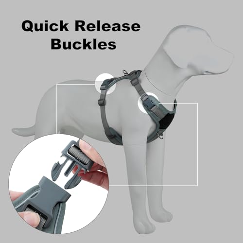 Plutus Pet No Pull Dog Harness, Release at Neck, Soft Padded, Reflective Adjustable Dog Vest Harness for Small, Medium, Large Dogs(Gray,M) - color: Gray, size: M