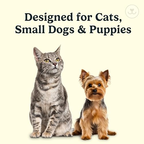 Jasper Microbrush Vet Approved Cat Toothbrush, Soft-Bristled Toothbrush Kit for Felines & Small Dogs, Non-Slip Handle with 2 Replaceable Tooth Brush Heads, Use with Cat Toothpaste, 2-Pack, Gray Mist - color: Gray 2 Pack