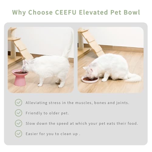 CEEFU 2 Elevated Cat Bowls Extra Wide for Food & Water – Whisker Fatigue, Ceramic Wide Shallow Food Dish, Lead & Cadmium Free, Raised Height for Cats, Pink - color: Pink