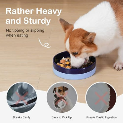 Sted Ceramic Slow Feeder Dog Bowls with Silicone Base, Slow Feeding Dog Bowl Small Medium Breed, Dogs Food Bowls for Fast Eaters, Puzzle Dogs Food Bowl, Maze Blue - color: Blue, size: Medium-8 inches