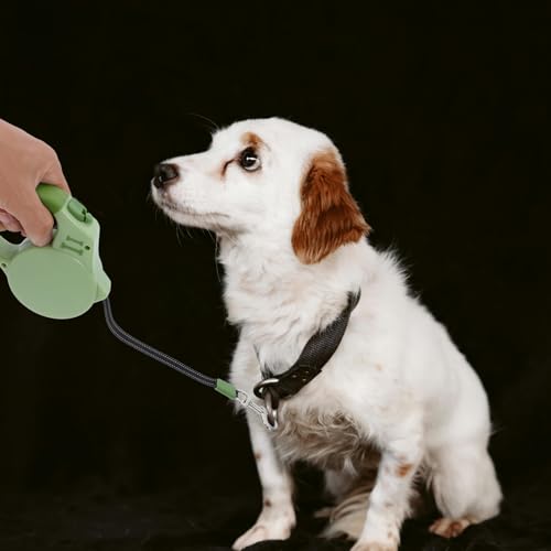 GLEAVI Retractable Dog Leash with Brake, Reflective Nylon Tape, 3-Meter Extendable Leash for Small to Medium Dogs, Outdoor Walking and Puppy