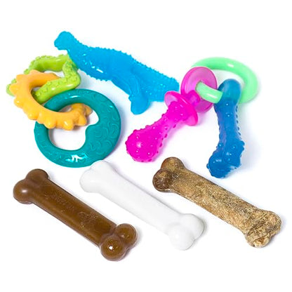 Nylabone New Puppy Starter Kit, 5 Dog Chew Toys and 1 Natural Reward for Puppies, Multi Color, Bacon & Chicken Flavor,Small Dogs - Up to 25 lbs., 6 Pack - color: Bundle