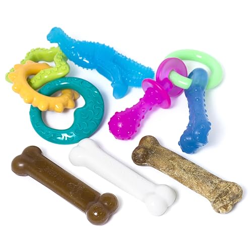 Nylabone New Puppy Starter Kit, 5 Dog Chew Toys and 1 Natural Reward for Puppies, Multi Color, Bacon & Chicken Flavor,Small Dogs - Up to 25 lbs., 6 Pack - color: Bundle