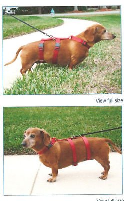 Harness for Small Dogs & Cats. Escape-Proof Design, Red, Size S, Classic Style