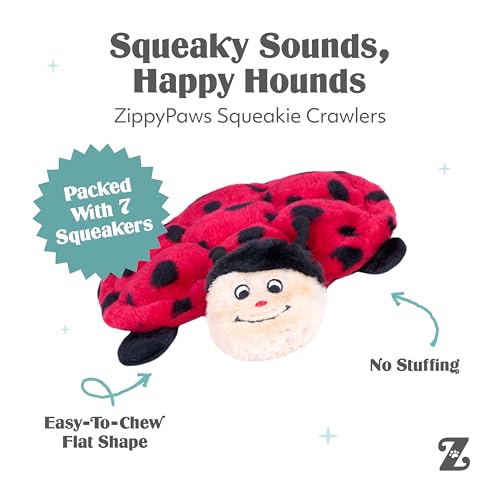 ZippyPaws Squeakie Crawlers - No Stuffing Dog Toys to Keep Them Busy, for Small, Medium, & Large Dogs, Squeaky Pet Toy for Boredom, Unstuffed Chew Toy, Puppy Products, Turtle & Ladybug - 2 Pack, 10"