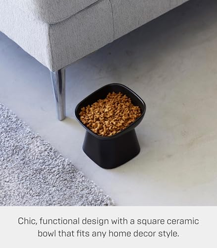 Yamazaki Home Tower Elevated Ceramic Pet Food Bowl - Angled, Non-Slip, Microwave & Dishwasher Safe - 6.7Oz - color: Black