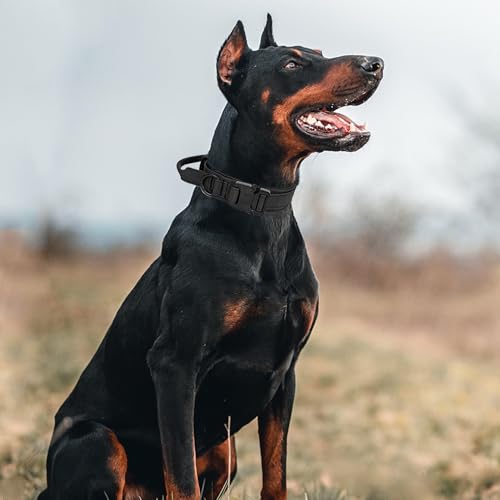 Tactical Dog Collar with Handle - Military Adjustable Dog Training Collar Soft Nylon and Heavy Duty Metal Buckle for Medium Large Dogs - with Patch (Black, Large) - color: Black, size: Large