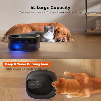 WOPET Dog Water Fountain for Large Dogs, 6L/205oz/1.7Gal Automatic Dog and Cat Water Fountain, Pet Water Dispenser with 2 Filters, Ultra-Quiet Pump, Great for Large Dogs Cats and Multi-Pet Home