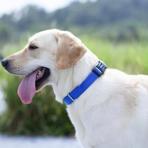 Hyhug Small Dog Collar Quick-Release Blue| Heavy-Duty Nylon Puppy Collar, Adjustable & Durable Pet Supplies for Boy & Girl Dogs (Small, Bright Blue) - color: Bright Blue, size: Small
