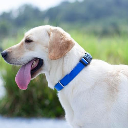 Hyhug Medium Dog Collar, Blue:Heavy-Duty Quick-Release Nylon Buckle, Adjustable & Durable, Cute Dog Collar (Medium, Bright Blue) - color: Bright Blue, size: Medium