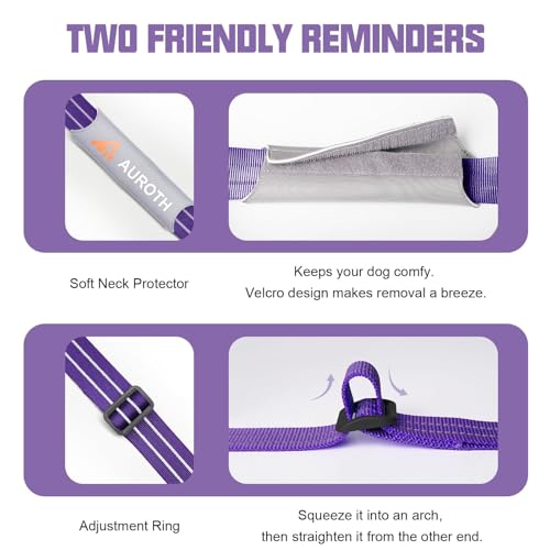 AUROTH Dog Harness and Leash Set, Soft Padded Service Dog Vest with 5.25FT Dog Leash, No Choke, Easy On Pet Vest, Adjustable Reflective No Pull Dog Harness for Large Dogs, Easy Walking and Training - color: Purple, size: Large