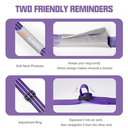 AUROTH Dog Harness and Leash Set, Soft Padded Service Dog Vest with 5.25FT Dog Leash, No Choke, Easy On Pet Vest, Adjustable Reflective No Pull Dog Harness for Large Dogs, Easy Walking and Training - color: Purple, size: Large