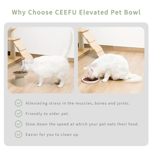 CEEFU Extra Wide Elevated Ceramic Cat Bowl, 6.2" Shallow Dish for Whisker Fatigue Relief, 5" Height for Easy Feeding, Durable Raised 2 Cat Food Bowls, Pottery Clay (Not Glazed) - color: Pottery Clay-2 Food Bowl
