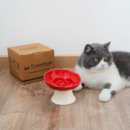 Ceramic Slow Feeder Bowl for Cats and Small Dogs, Elevated Tilted Pet Food Dish, Whisker Friendly Anti-Vomit Design, Heavy Stable Base, Dishwasher Safe， 5 Colors Options (Ruby Red) - color: Ruby Red