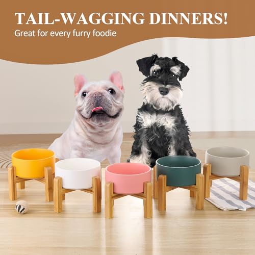 LIONWEI LIONWELI Ceramic Raised Dog Bowls, Medium - Set of 2 - Non Slip Wood Stand - Anti Vomiting - 850 ml - White - color: White, size: Medium-2