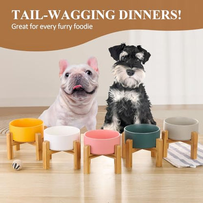 LIONWEI LIONWELI Ceramic Raised Dog Bowls, Medium - Set of 2 - Non Slip Wood Stand - Anti Vomiting - 850 ml - White - color: White, size: Medium-2