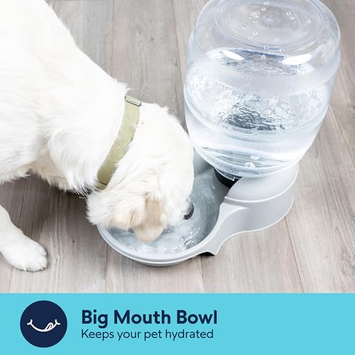 Petmate Aspen Pet Lebistro Cat and Dog Water Dispenser, Made in USA - color: Bleached Linen