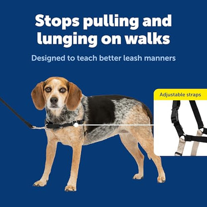 PetSafe Easy Walk No-Pull Dog Harness - Ultimate Harness to Help Stop Pulling - Pull-Free Walks - Take Control & Teach Better Leash Manners - Patented Martingale Loop Design - Black, Small/Medium - color: Black/Silver, size: Small/Medium