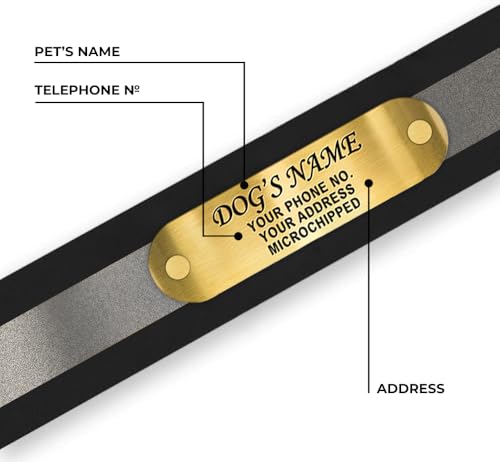 Regal Dog Products Large Black Reflective Dog Collar with Custom Engraved Name Plate and Heavy Duty Center Ring | Waterproof Biothane Personalized Dog Collars - Other Sizes for Small & Medium Dogs - color: Black, size: Large