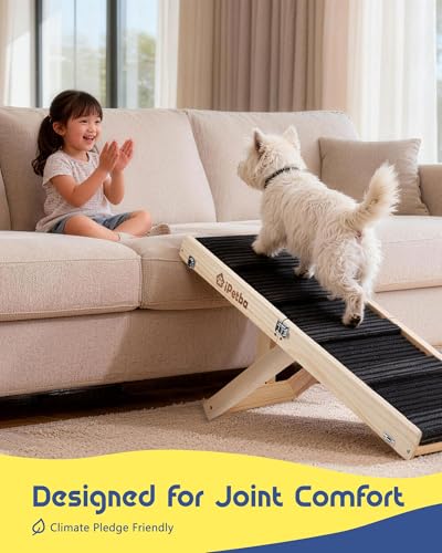Dog Ramp for Couch - Joint & Spine Support with Gentle Incline for Small Dogs, Adjustable, Anti-Slip & Foldable, Up to 35 lbs - size: Small
