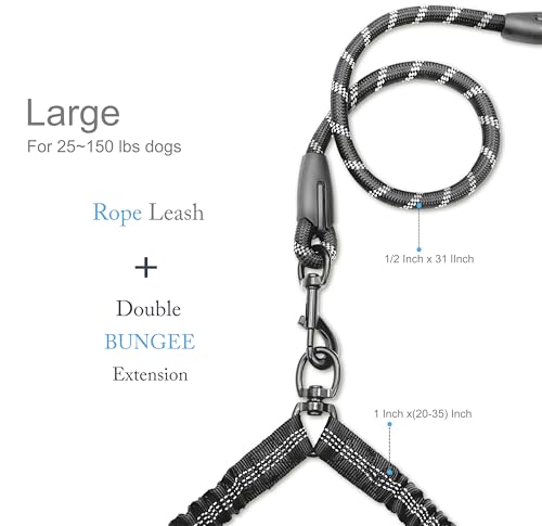 Double Dog Leash for Two Dogs, Heavy Duty Adjustable No Tangle, Bungee Retractable Split Multiple Leash for Walking 2 Dogs, 5.5FT-1/2”, Black