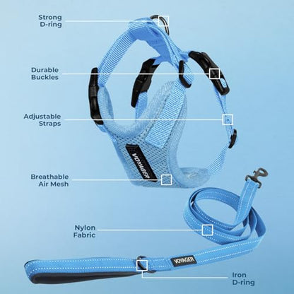 Best Pet Supplies Voyager Step-in Lock Pet Harness w Reflective Pet Leash Combo Set with Neoprene Handle 5ft - Supports Small, Medium and Large Breed Puppies/Cats - Baby Blue Set, M - color: Harness Leash Set (Baby Blue), size: M (Chest: 17 - 21")
