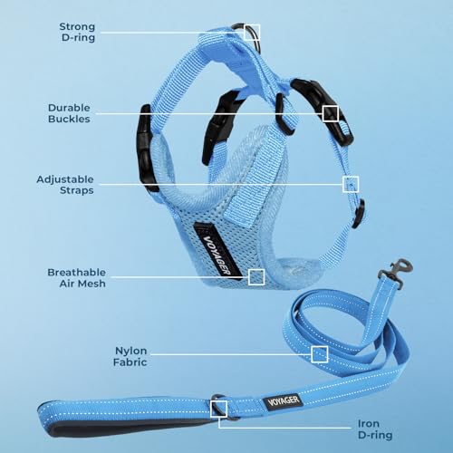 Best Pet Supplies Voyager Step-in Lock Pet Harness w Reflective Pet Leash Combo Set with Neoprene Handle 5ft - Supports Small, Medium and Large Breed Puppies/Cats - Baby Blue, XL - color: Harness Leash Set (Baby Blue), size: XL (Chest: 23 - 28")