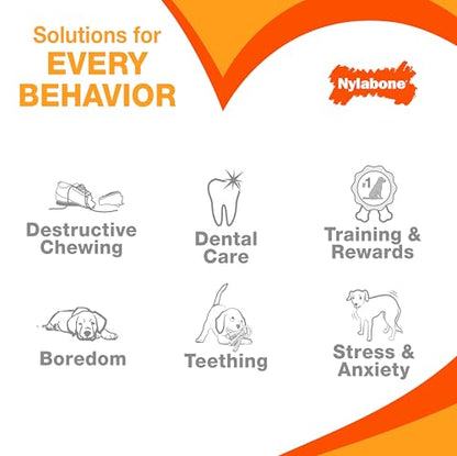 Nylabone Textured Dental Bone Flexi Chew Toy for Dogs, Dog Toys for Moderate Chewers, Chicken Flavor, X-Small - Up to 15 lbs, 1 Count - size: X-Small
