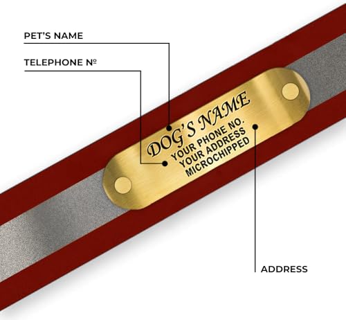 Regal Dog Products Medium Red Reflective Dog Collar with Custom Engraved Name Plate and Heavy Duty Center Ring | Waterproof Biothane Personalized Dog Collars - Other Sizes for Small & Large Dogs - color: Red, size: Medium