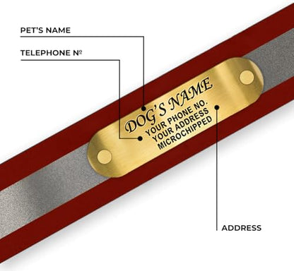 Regal Dog Products Small Red Reflective Dog Collar with Custom Engraved Name Plate and Heavy Duty Center Ring | Waterproof Biothane Personalized Dog Collars - Other Sizes for Medium & Large Dogs - color: Red, size: Small