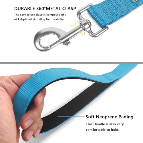Basic Dog Leashes 6 FT Padded Handle Nylon Dogs Leashes for Small Dogs Light Blue - color: Light Blue, size: Small : 5/8" x 6 FT