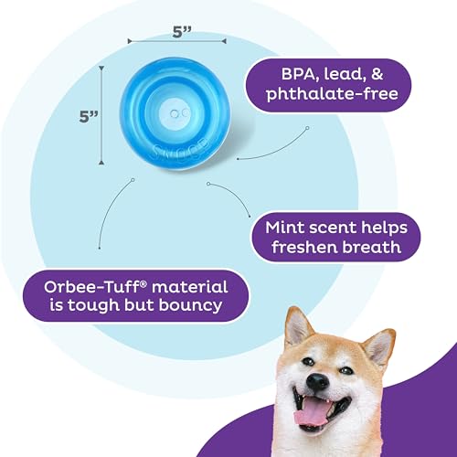 Outward Hound by Planet Dog Snoop Dog Toy – Treat‑Dispenser Puzzle Ball, Interactive Slow Feeder, Medium to Large Dogs, Bouncy & Mint-Infused, Blue, 5" - color: Blue