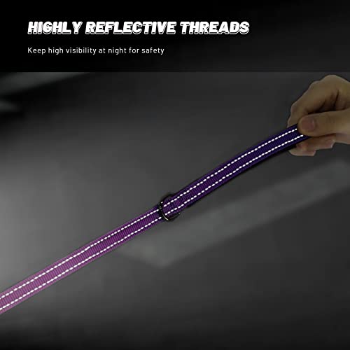 Roses&Poetry Reflective Small Dog Collar and Leash Set, Puppy Personalized Boy and Girl Collar with Leash, Adjustable Nylon Durable Pet Matching Collars Leashes for Small Puppies（Mistyrose-S - color: Mistyrose, size: S