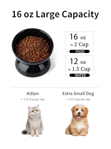 ABRUTY Cat Water Bowl, 16 OZ Ceramic Elevated Cat Bowls, 15° Tilted and Raised Pet Food Dish, Anti Vomiting Protect Pets' Spines and Whisker Fatigue - color: Black, size: 1 Pack