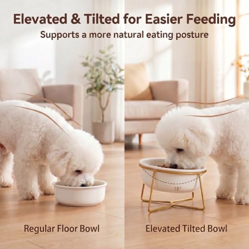 White Large Ceramic Tilted Elevated Cat Dog Bowl Raised Cat Food Water Bowl Dish Pet Comfort Feeding Bowls with Gold Iron Stand - color: White, size: Large