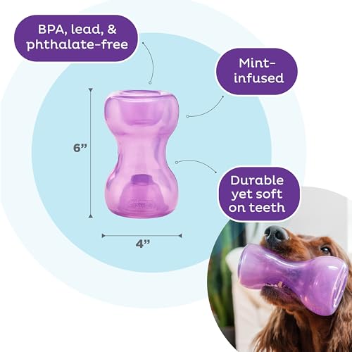Outward Hound Double Snoop Interactive Treat Dispensing Dog Toy, Puzzle Ball Slow Feeder for Medium to Large Dogs, Mint-Scented for Mental Stimulation & Boredom Relief, 6in x 4in - color: Double Snoop (Purple)