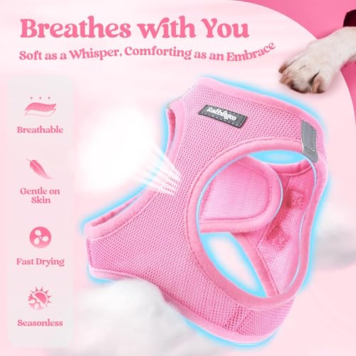 rabbitgoo Dog Harness Small Sized and Leash Set, Step in Soft Light Puppy Vest, Breathable Mesh Pet Harness, Reflective for Safe Easy Walking, Light Pink XXS - color: Light Pink, size: Xxs (chest: 12.4 - 14.2")