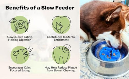 Slow Feeder Dog Bowl Insert – Silicone Anti-Choke Design with Suction Cups | Fits Most Bowls | Includes 3 Finger Toothbrushes for Pet Dental Care | Blue, Pink, Black - color: Blue