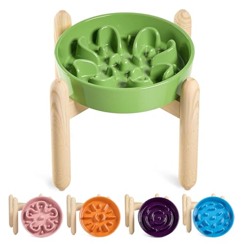 LE TAUCI Ceramic Slow Feeder Dog Bowls Elevated for Small and Medium Breed, Dog Bowls with Wooden Stand, 1.5 Cups Pet Dishes to Slow Down Eating, Anti-Gulping Pet Feeding Dishes, Clover Green - color: Clover Green+Stand, size: M-1.5 Cups