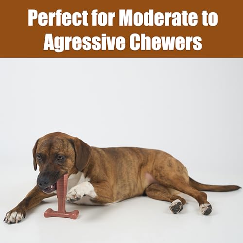 SPOT Bam-Bones Plus Coffee Wood T-Bone Dog Chew Toy, Beef Flavor, Nylon and Coffee Wood Fiber Blend, Durable Chew for Heavy Chewers and Dogs Under 60 lbs, Non-Splintering Dental Chew, 6 Inch - size: 6 Inch (Pack of 1)