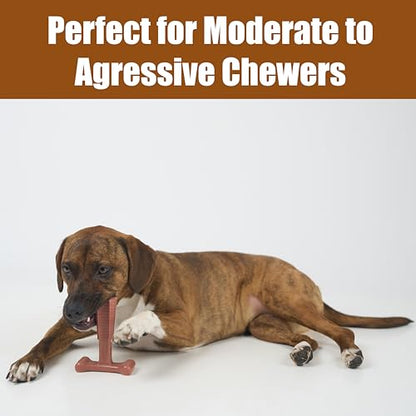 SPOT Bam-Bones Plus Coffee Wood T-Bone Dog Chew Toy, Beef Flavor, Nylon and Coffee Wood Fiber Blend, Durable Chew for Heavy Chewers and Dogs Under 60 lbs, Non-Splintering Dental Chew, 6 Inch - size: 6 Inch (Pack of 1)